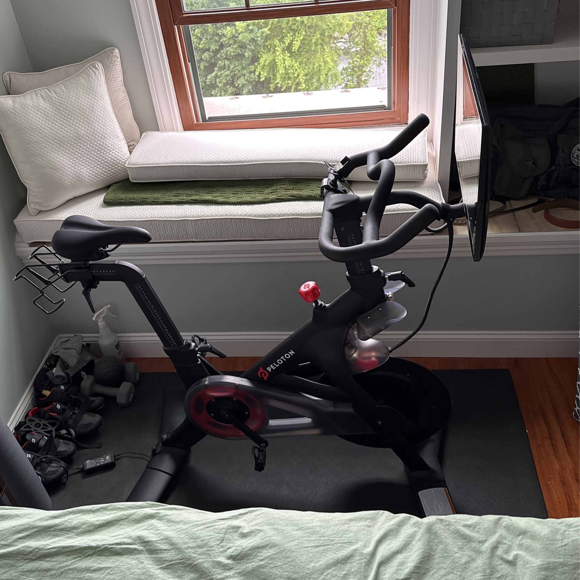 Peloton bike (2020)