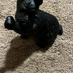 Black Dog Decor