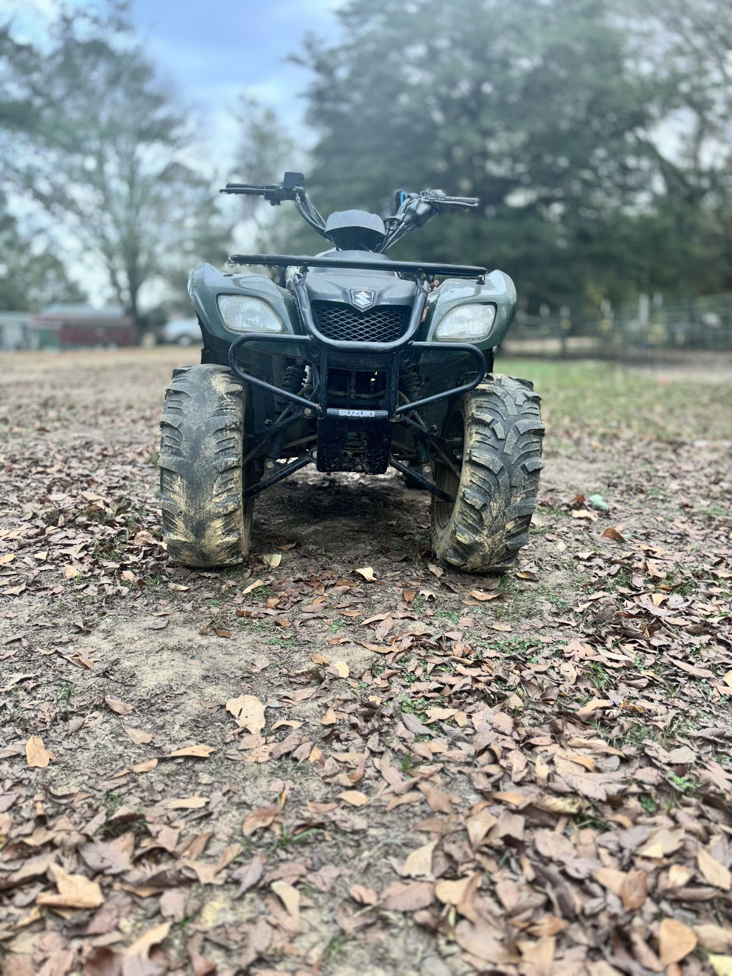 2002 Suzuki Ozark Quadrunnier 250