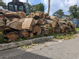 Free Firewood