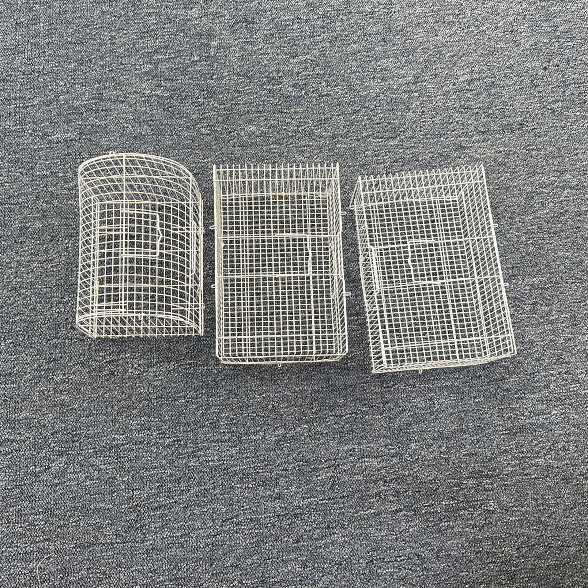 $10 Each Bird Cage
