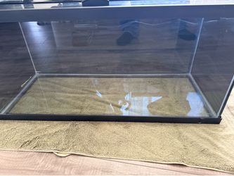 New 20 gallon long aquarium/tank