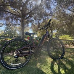 Rad Power Radster Trail E-Bike – Like New – $950 OBO