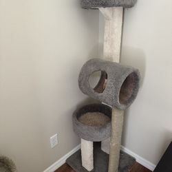 Cat Trees