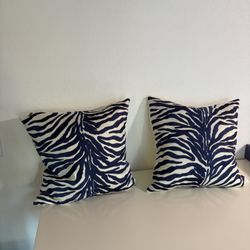 2 Throw Pillows