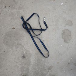 Long Blue Leash With Built In Bungie