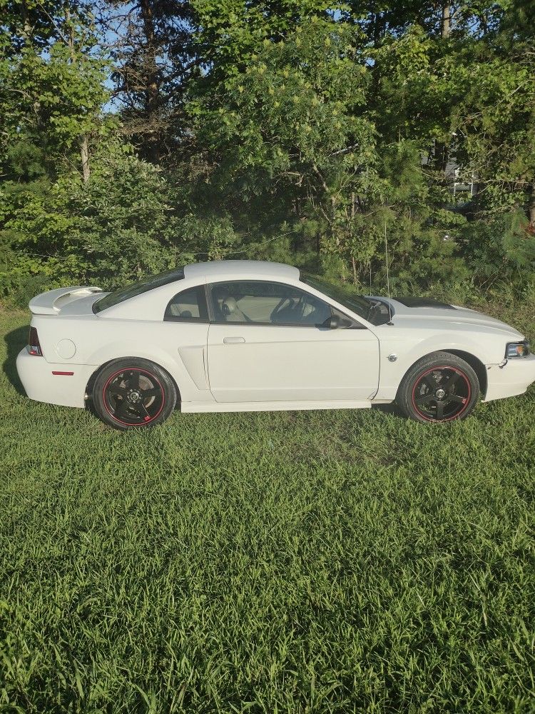 2004 Ford Mustang