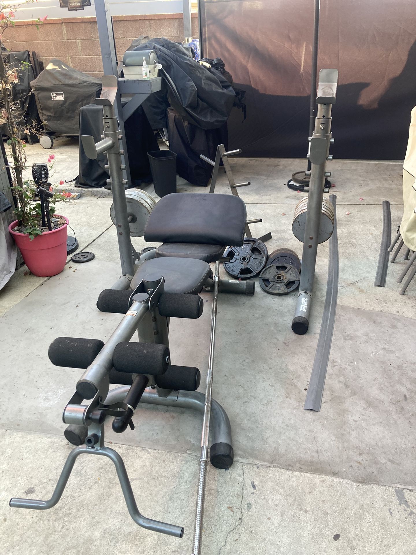 Workout Bench