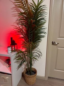 Two faux plants