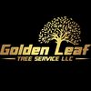 Oleh Tree Service GOLDEN LEAF