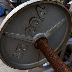 2 - 45lbs iron plates 