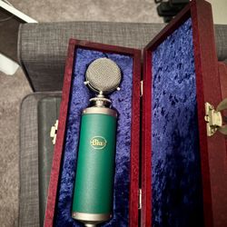 Blue Kiwi Microphone