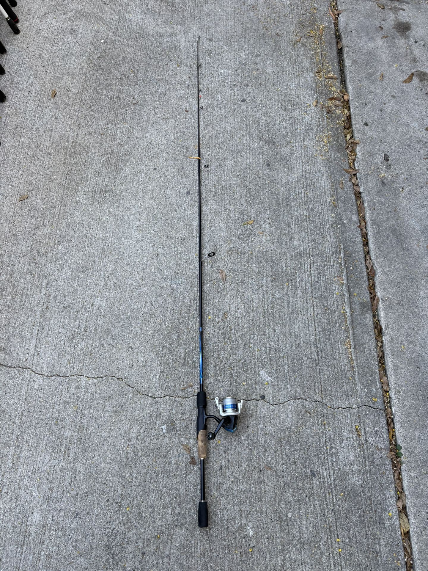 Fishing’s rod and reel