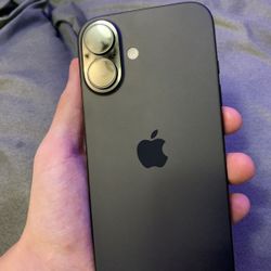 iPhone 16