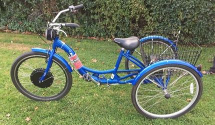 3 WHEEL ELECTRIC TRIKE BIKE, 48 volt, 1000 watt, 17 hour amp battery