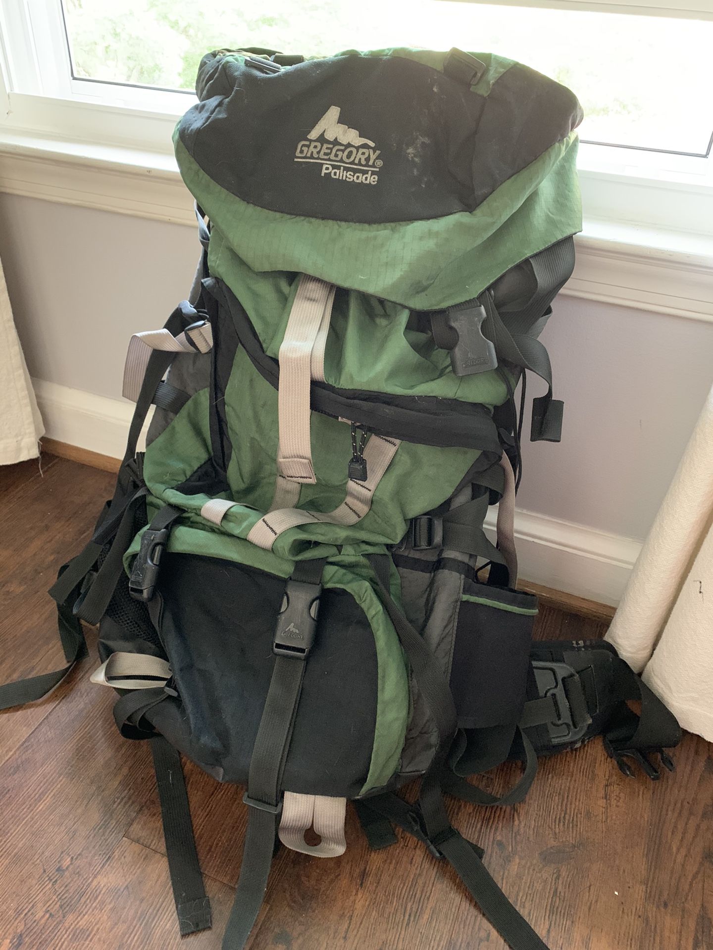 Free Gregory Travel Backpack