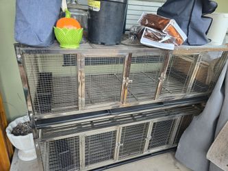 Quail Cages