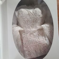 Georgous David's Bridal Wedding Gown