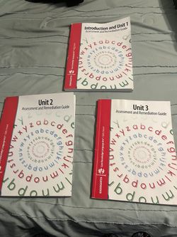 Lot If (3) Kindergarten Remediation Books