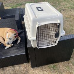 LARGE DOG CRATE