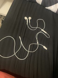 Apple Earbuds