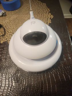 Cat toy