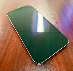 UNLOCKED! NEW! Apple iPhone 13 Pro Max 256GB