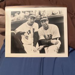 Ted Williams & Joe DiMaggio Picture & Pete Rose , Batty Bonds & Ted Williams Baseball Cards 