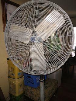 Electric Fan