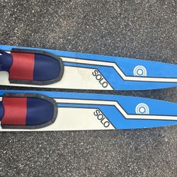 Cypress. Garden. Water. Skies.  Solo. 