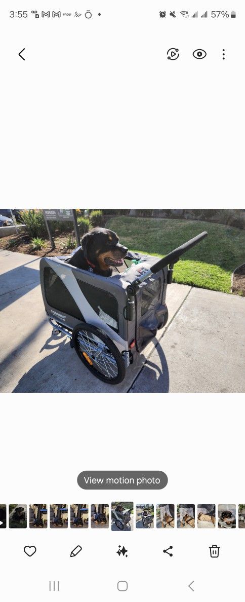 XL Dog Stroller - DoggyHut