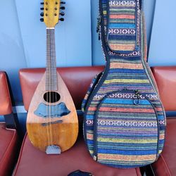 Vintage Bowl Back Mandolin 