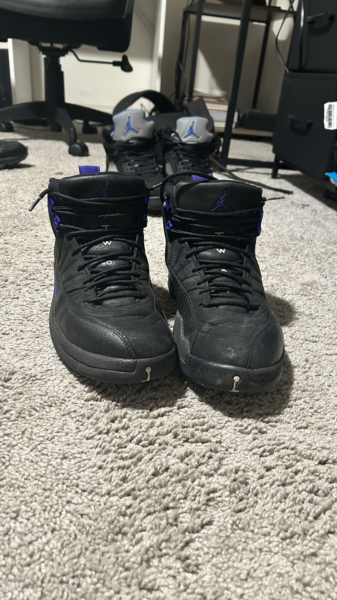 Jordan 12 Dark Concord