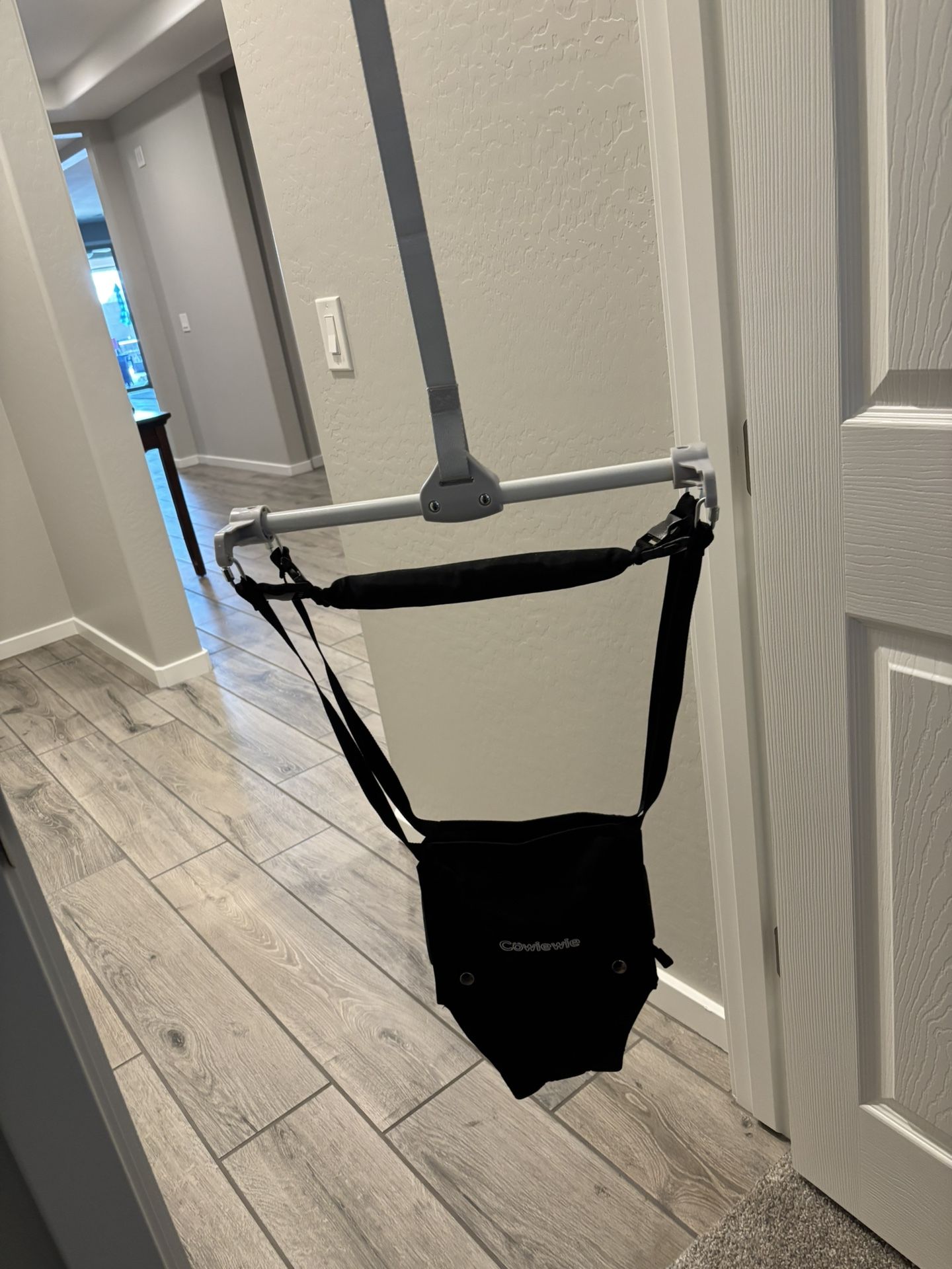 Baby Door Hanging Bouncer