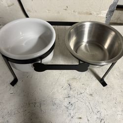 Dog Bowl