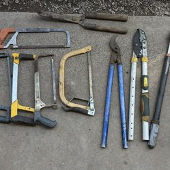 Hand Saws & Branch Cutters