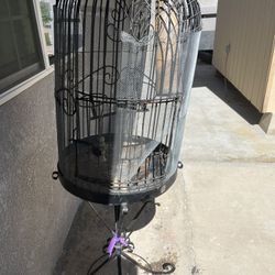 vintage, black wrought iron bird cage,