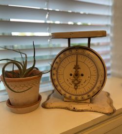 Vintage Family Kitchen Scale