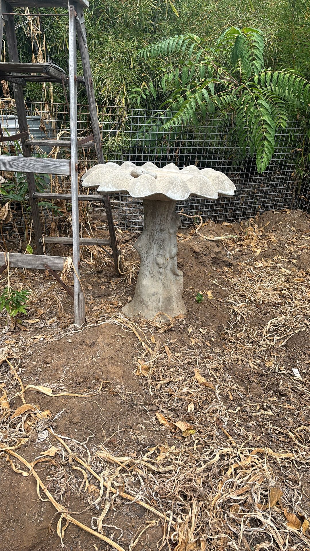 A bird bath