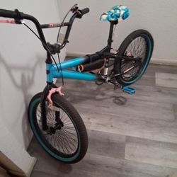 20in. Bike 