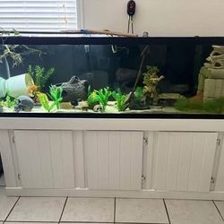 125 Gallon Aquarium 