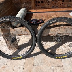 Maxxis MTB Tires MX/Mullet Set