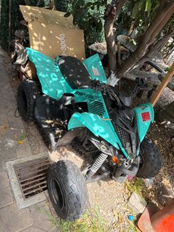 2025 Yamaha 110