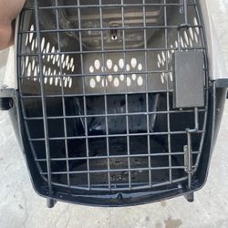 Carrier