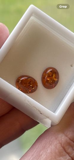 Baltic Amber 10x8mm Cabochon 2 pc. Rochester was