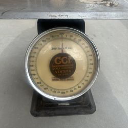Vintage Scale