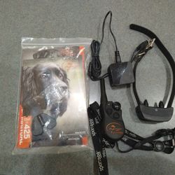Dog Training Collar With Remote