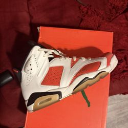 Jordan Gatorade 6’s Size 10