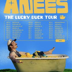 Anees Concert - 2 Tickets San Diego August 23, 2026