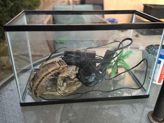 Fish tanks with filters